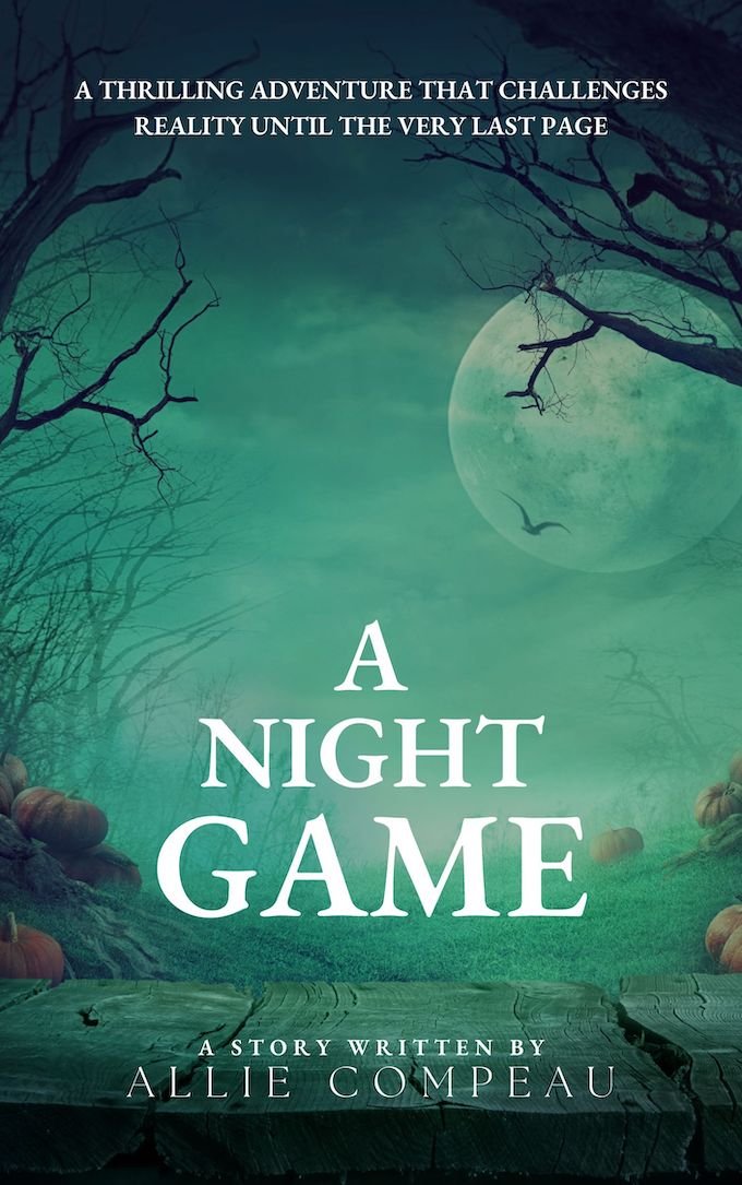 A Night Game Book Cover