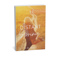 Book cover of Distant Spring by E.N. Beck