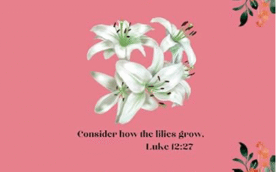 Consider the Lilies Coloring Book
