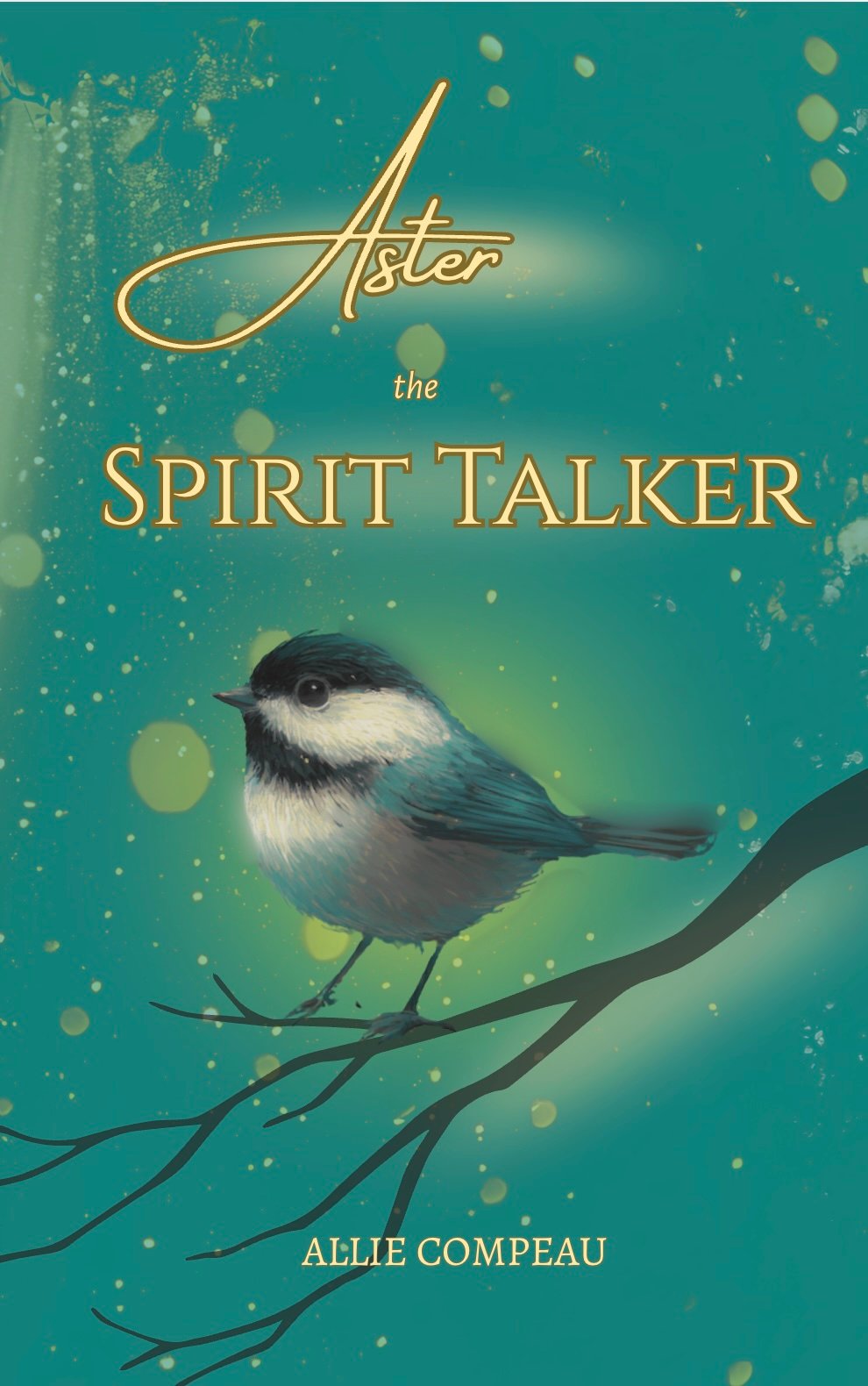 Aster the Spirit Talker Book Cover