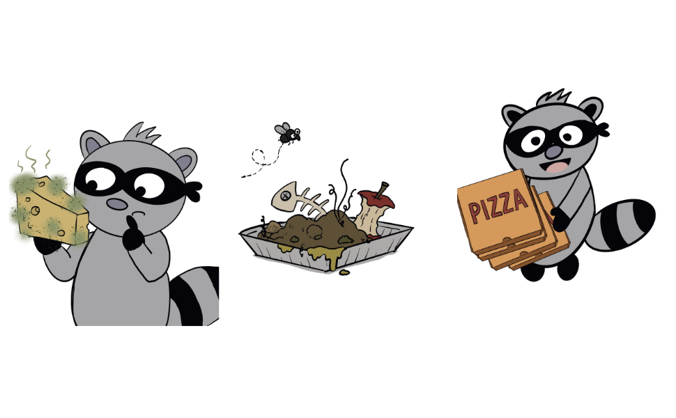 A raccoon looking in a trashcan, eating pizza, and spinning dough