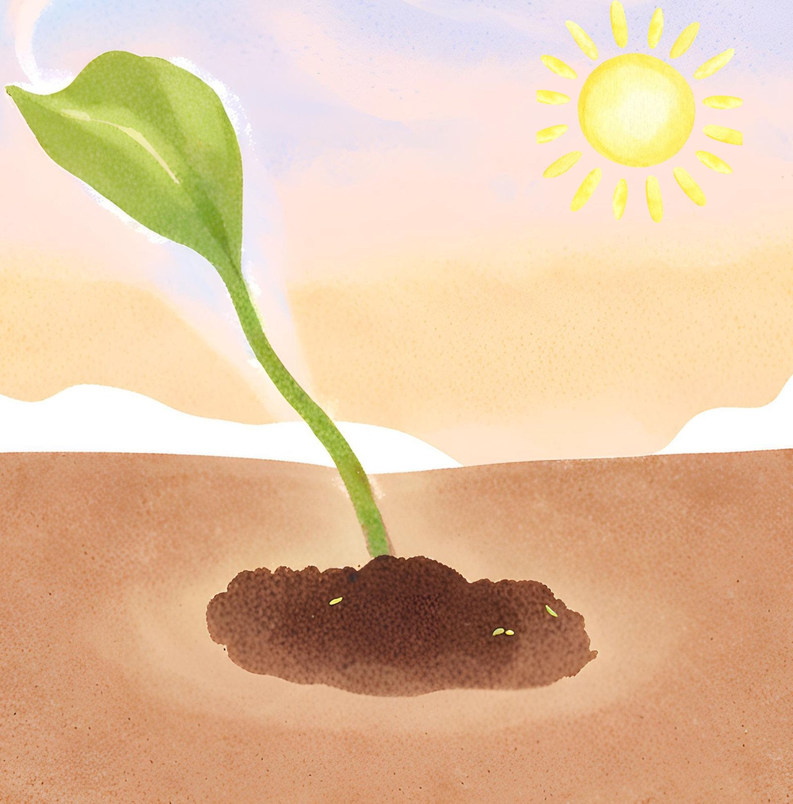 A seedling sprouting from the ground