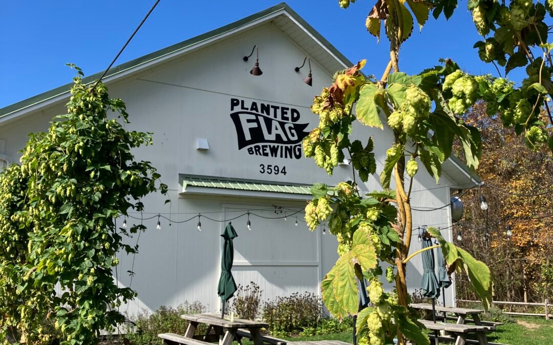 Brewery Cozy Mystery Books: Beer, Clues, and Small-Town Secrets