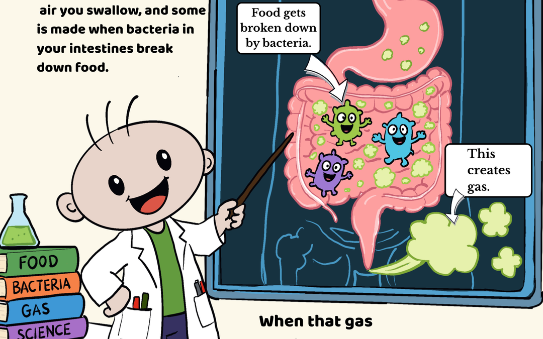 Simple explanation of how digestion and gut bacteria produce gas