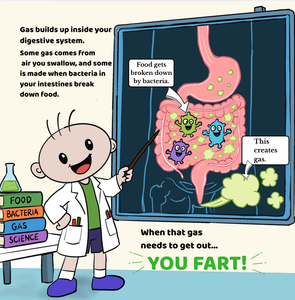 Simple explanation of how digestion and gut bacteria produce gas